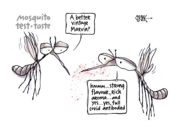 Mosquito Covid Test and Tast Cartoon by Chicane