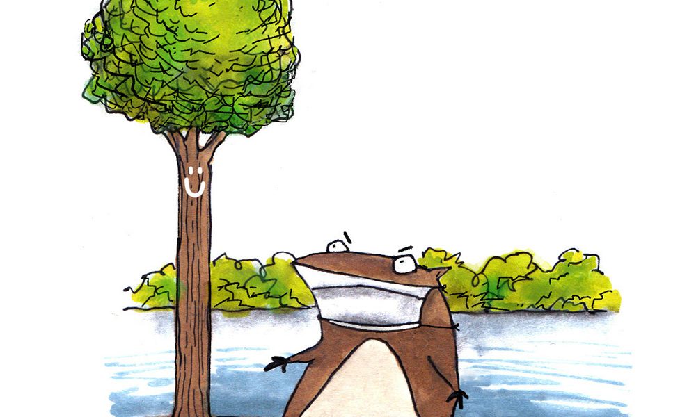 Bobrista Beaver lake Cartoon by Chicane