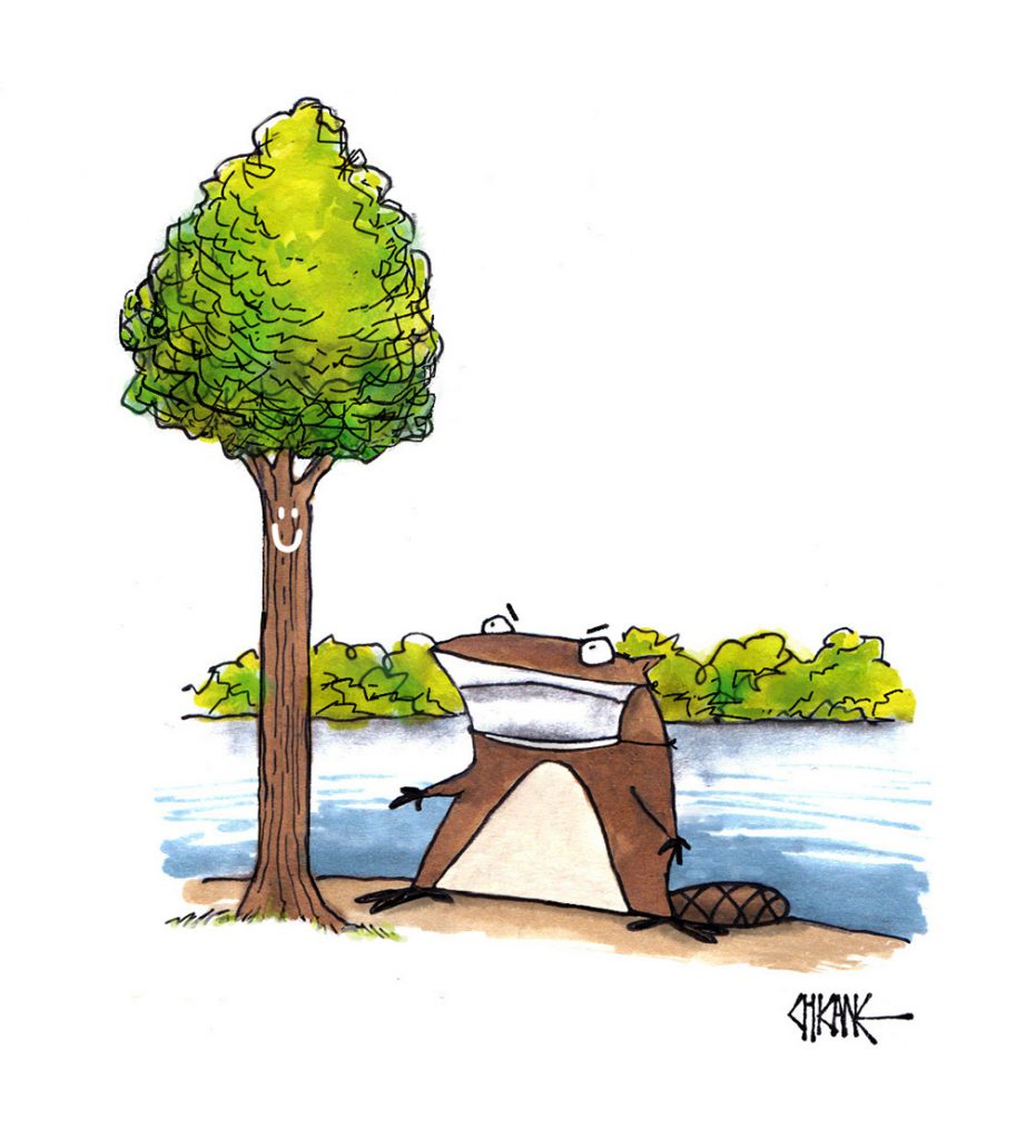 Bobrista Beaver lake Cartoon by Chicane