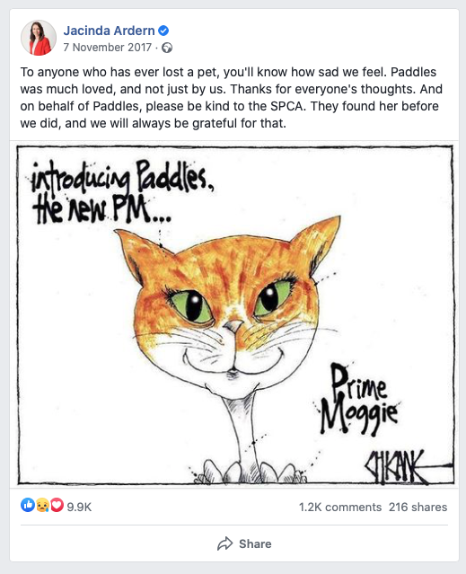 New Zealand Prime Minister Jacinda Ardern shares Chicane's Paddles Cartoon on Facebook