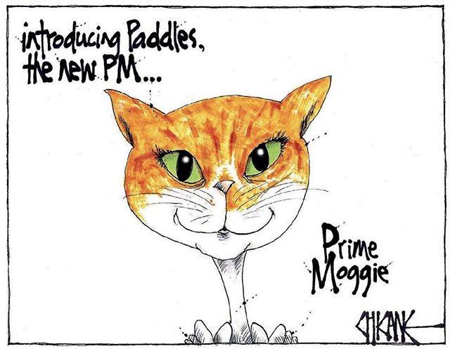 Paddles The Cat cartoon by Chicane